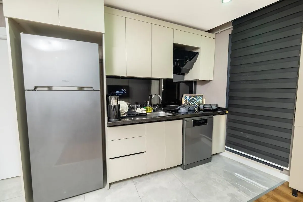 Lux Apartment Istanbul Turkey